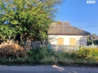 Продаж Дім Придніпровський
