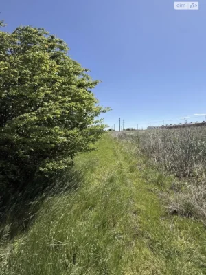 Продаж Земля сільськогосподарського призначення Дехтярка