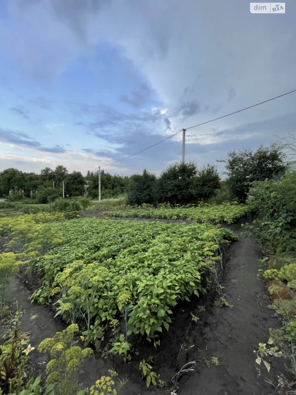 Продаж Ділянка під житлову забудову Гречани
