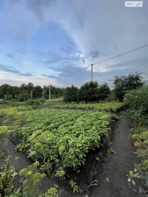 Продаж Ділянка під житлову забудову Гречани