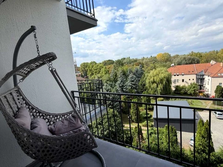 Квартира. Ужгород, Василя Гаджеги вул.