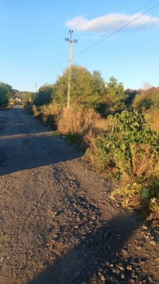 20 соток під котеджі/дуплекси | Оноківці | 40 м фасад | 2 ву