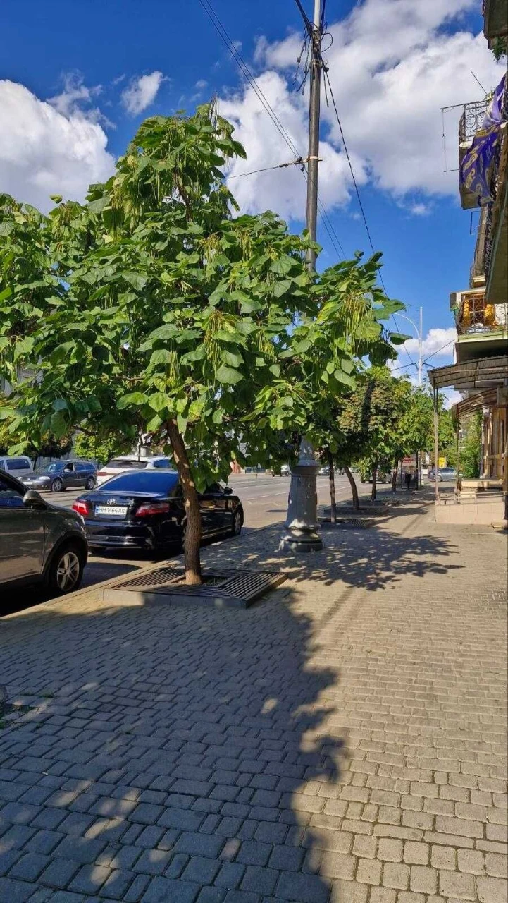 3 кімн. на вул. Тіраспольська. Центр.