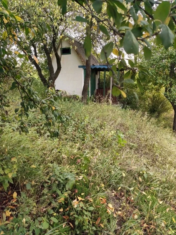 Продам дачу Новоселиця