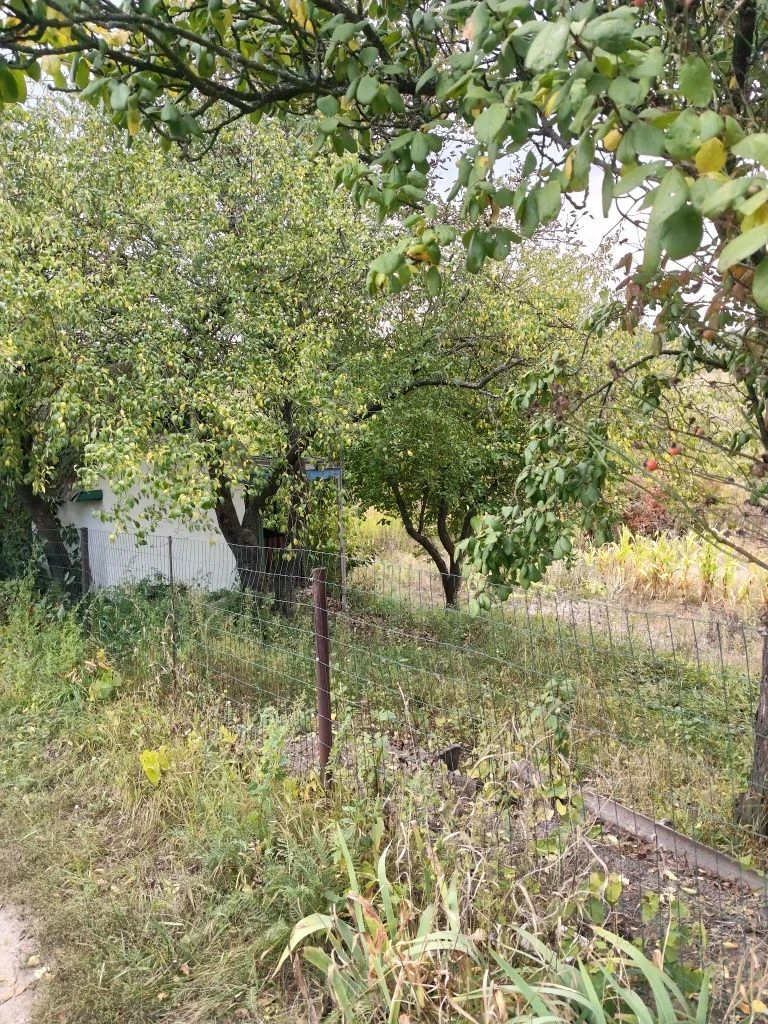 Продам дачу Новоселиця