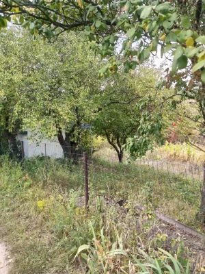 Продам дачу Новоселиця