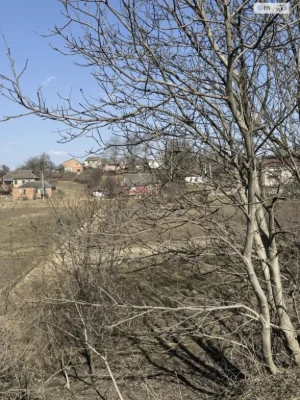 Продаж Земля сільськогосподарського призначення Лезневе