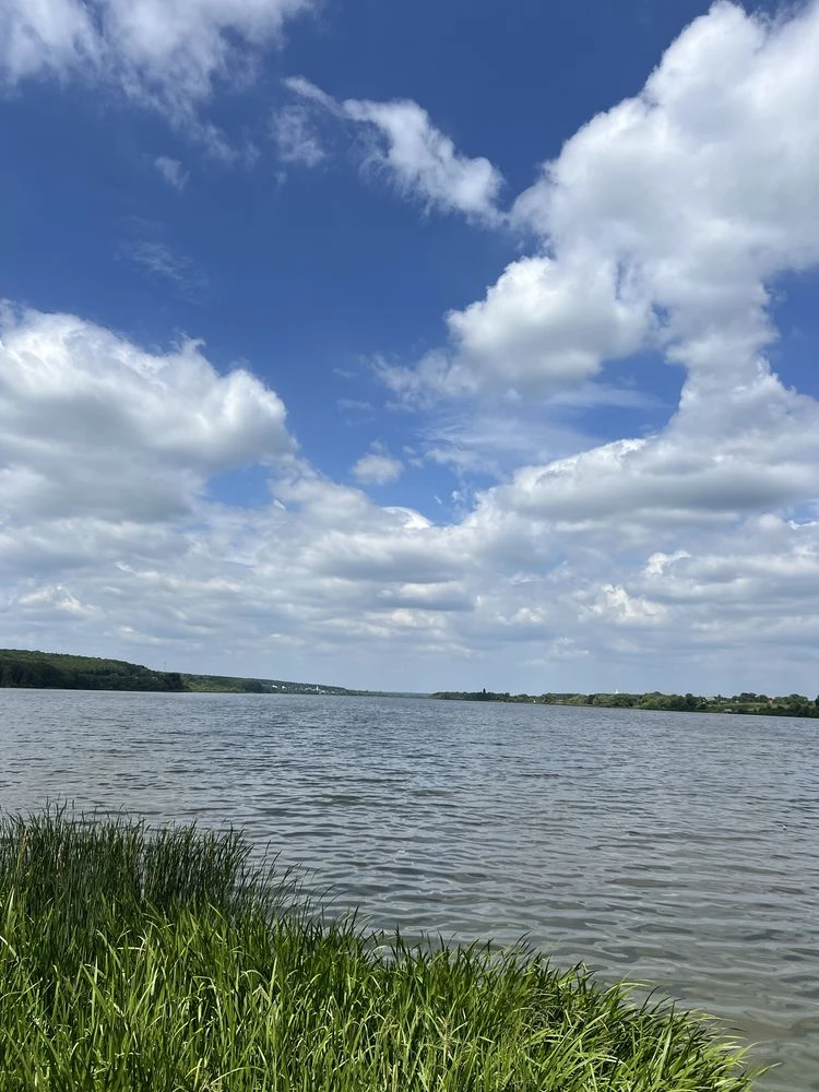 Земля на березі річки | Південний Буг | 8 сотих | Ліс, Вода,