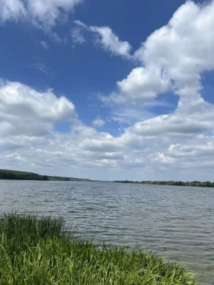 Земля на березі річки | Південний Буг | 8 сотих | Ліс, Вода,