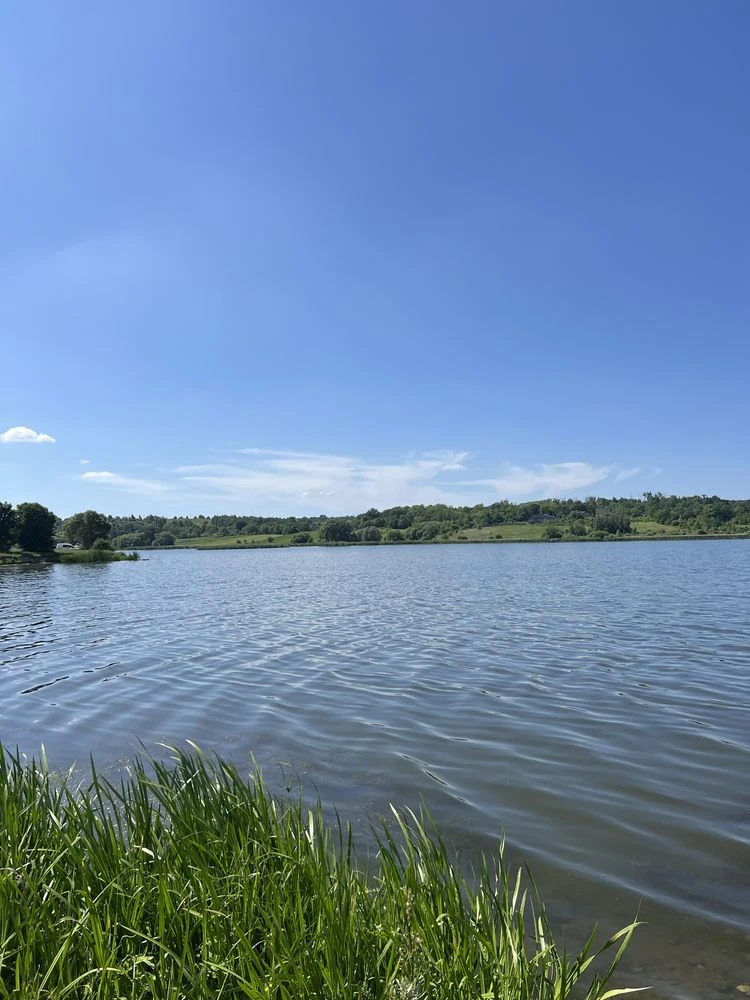 Земля на березі річки | Південний Буг | 8 сотих | Ліс, Вода,