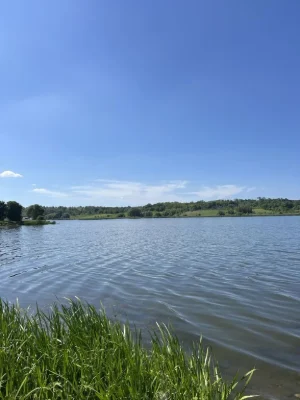 Земля на березі річки | Південний Буг | 8 сотих | Ліс, Вода,