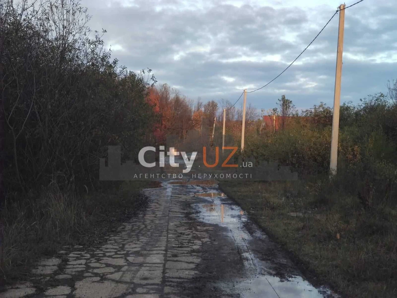 Продаються земельні ділянки в Ужгороді біля лісу