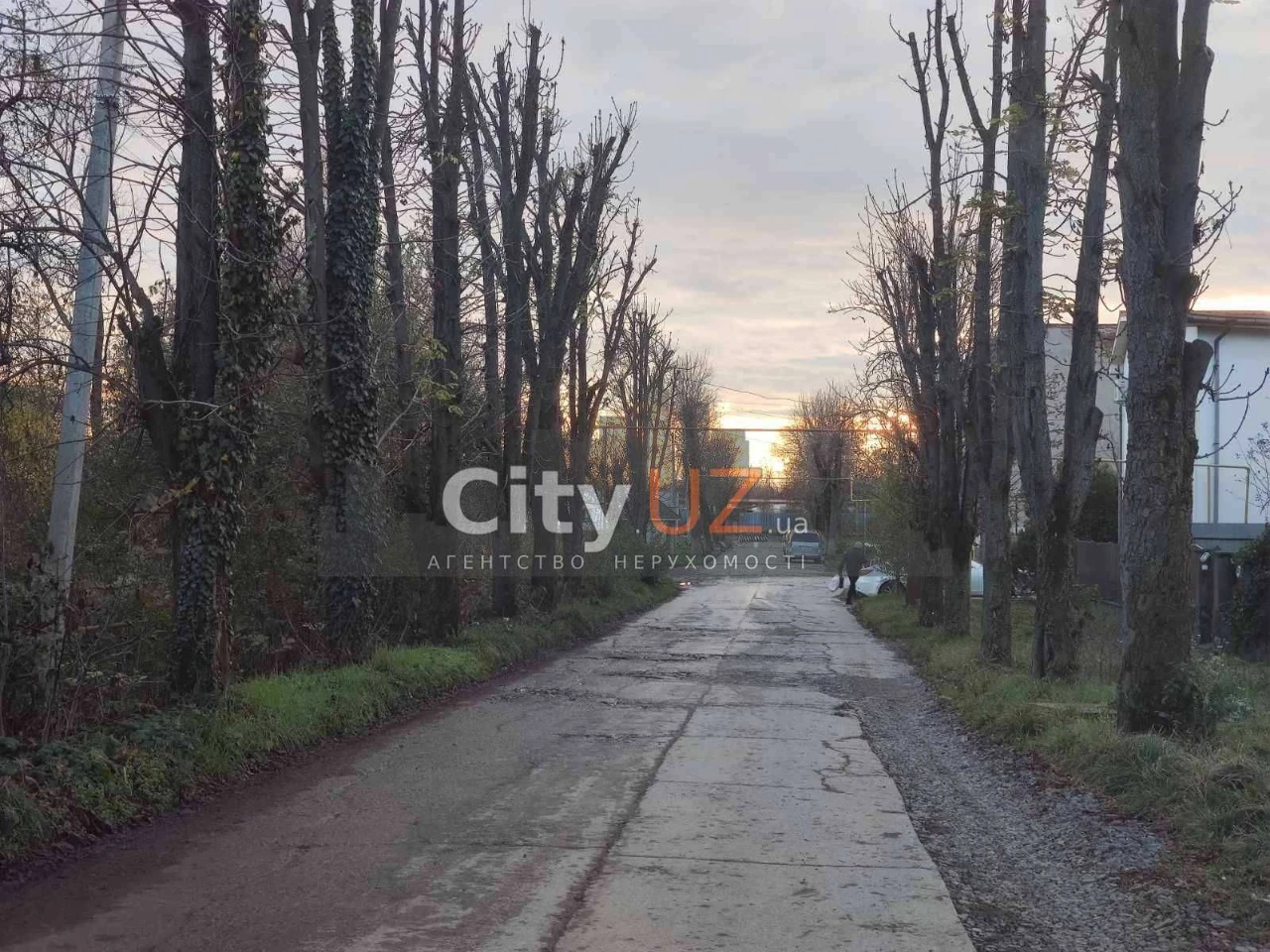 Продаються земельні ділянки в Ужгороді біля лісу