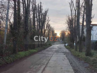 Продаються земельні ділянки в Ужгороді біля лісу