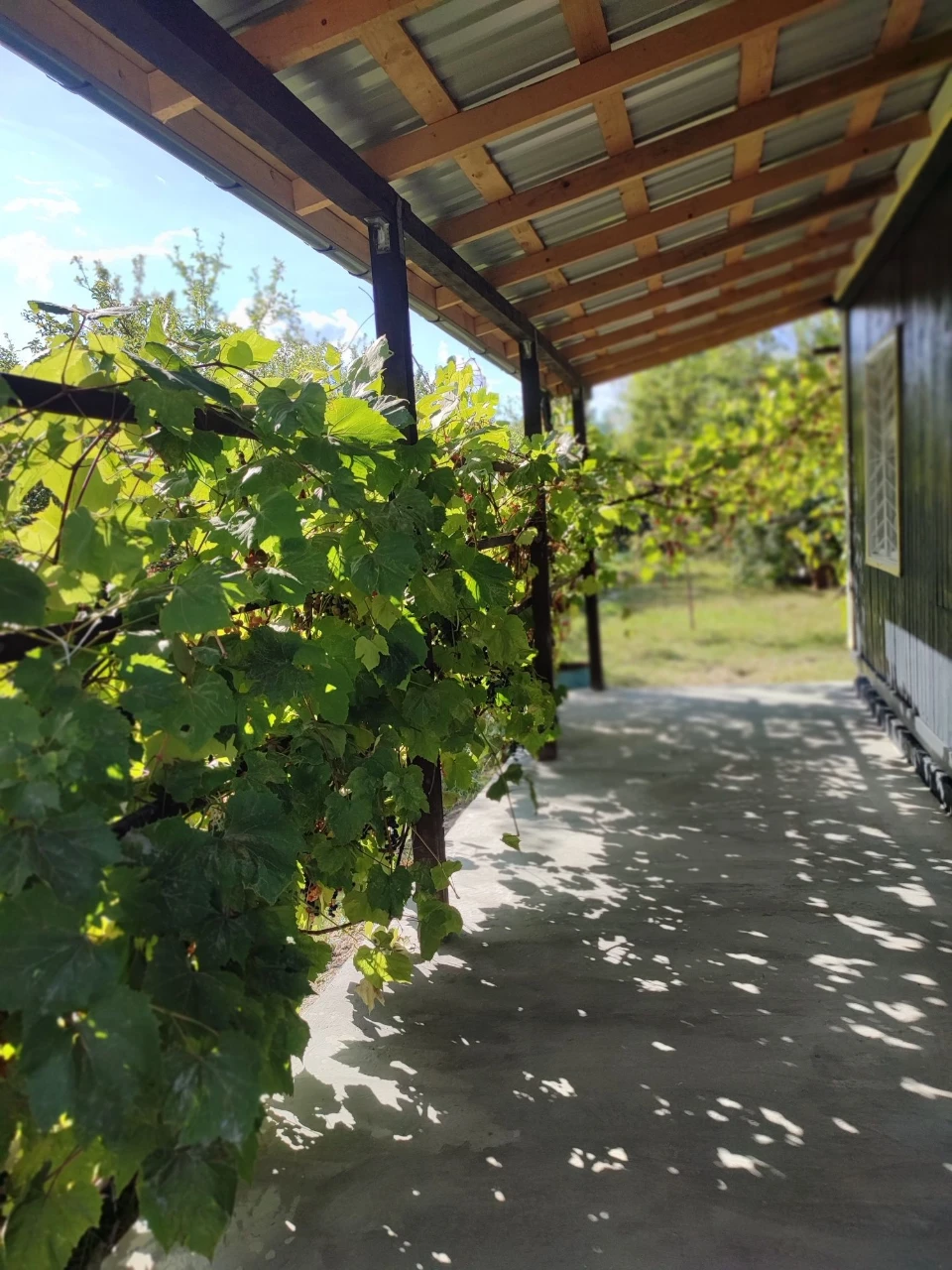 Продається земельна ділянка та дачний будинок  Дем'янів Лаз
