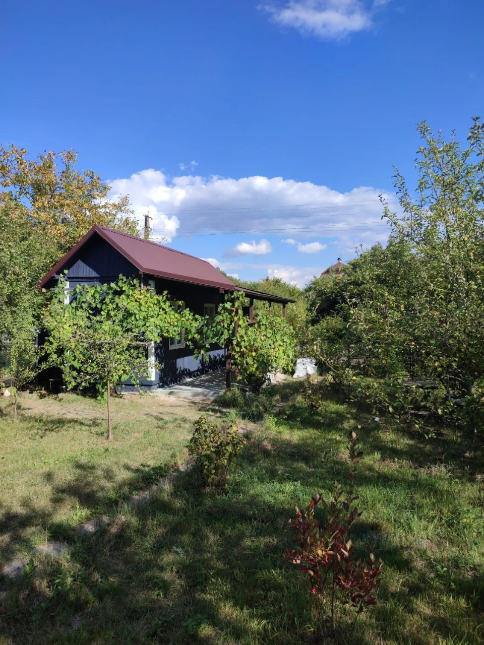 Продається земельна ділянка та дачний будинок  Дем'янів Лаз