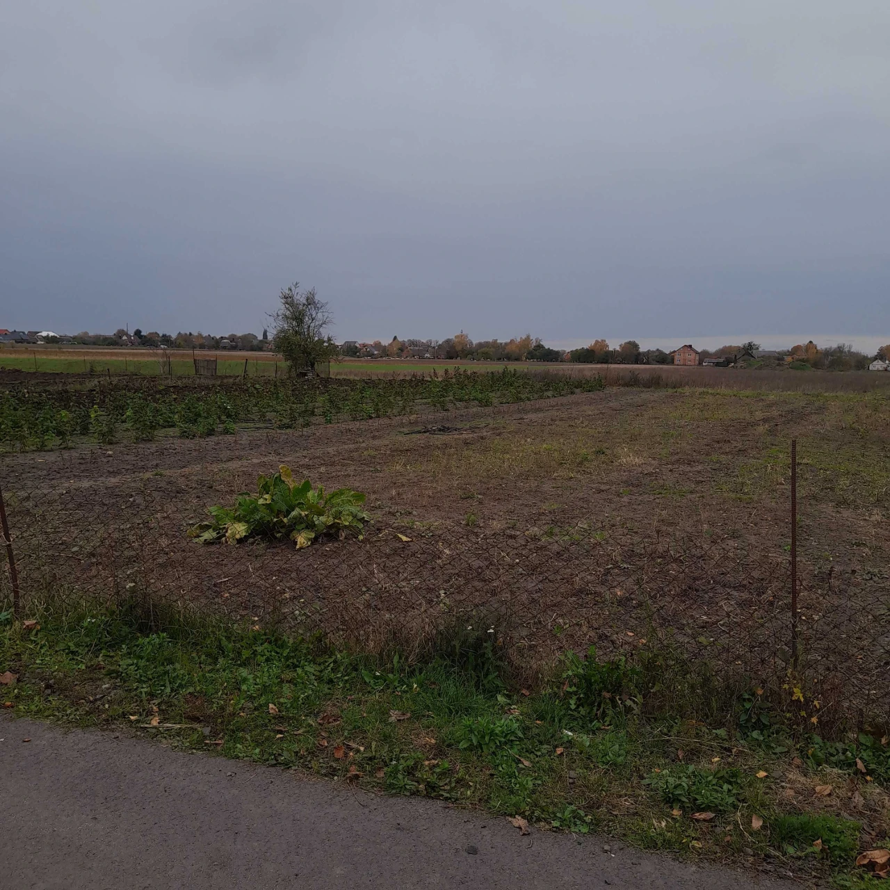 Продається ділянка під житлову забудову