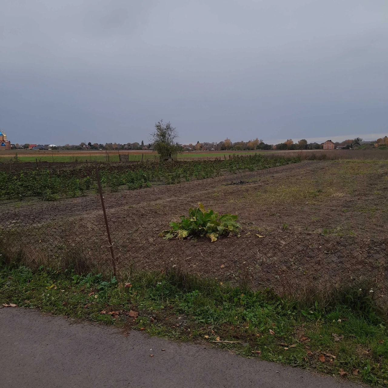 Продається ділянка під житлову забудову