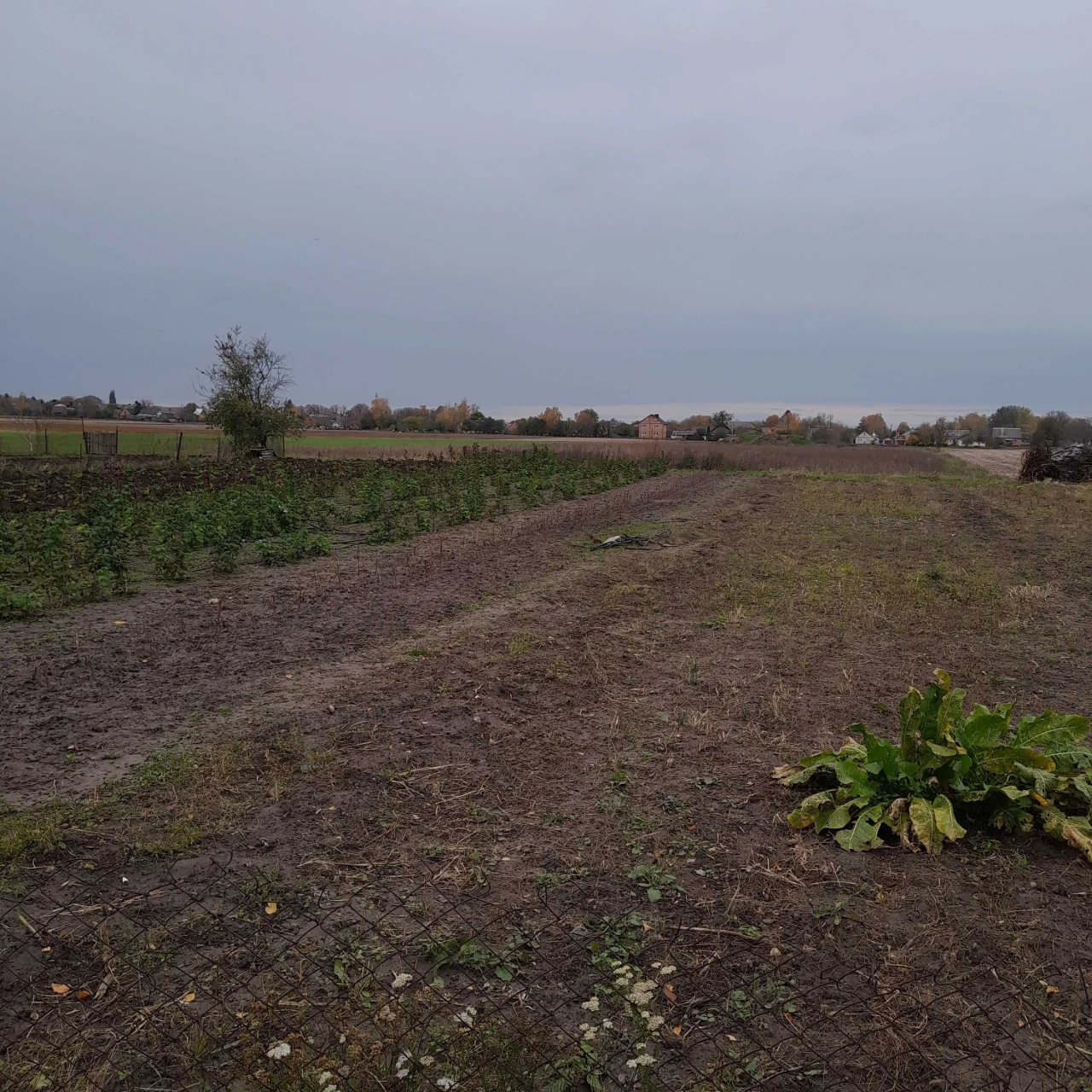 Продається ділянка під житлову забудову
