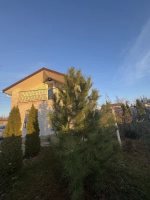 Продам будинок в Сажівці, з кадастровим та адресою