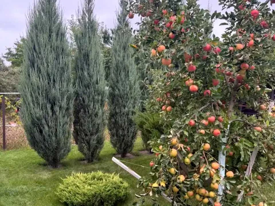 Будинок. Дніпро, Халхiнгольська вул.