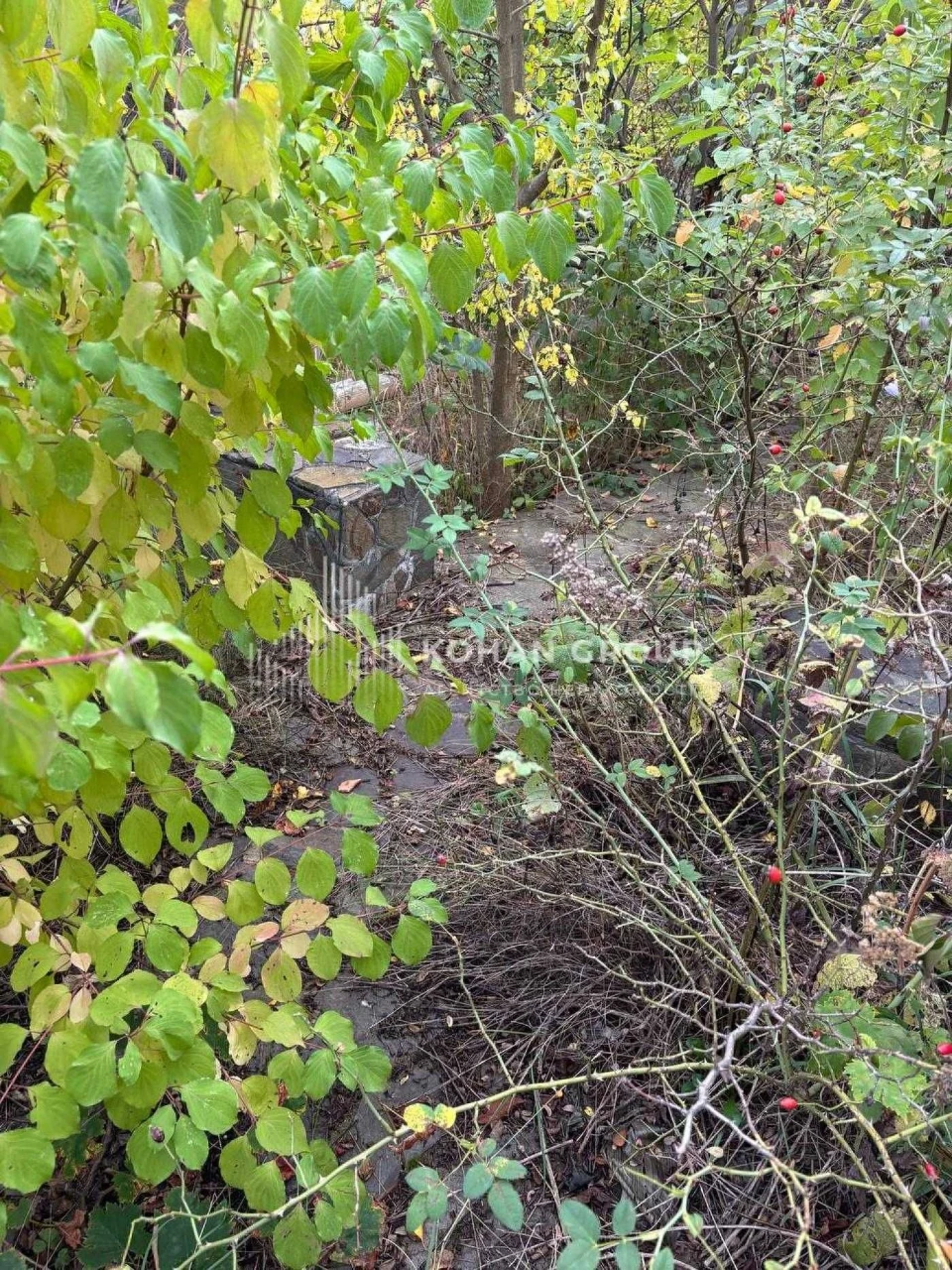 ‼️Продаж ділянки Бакота | 6 соток  #90644‼️