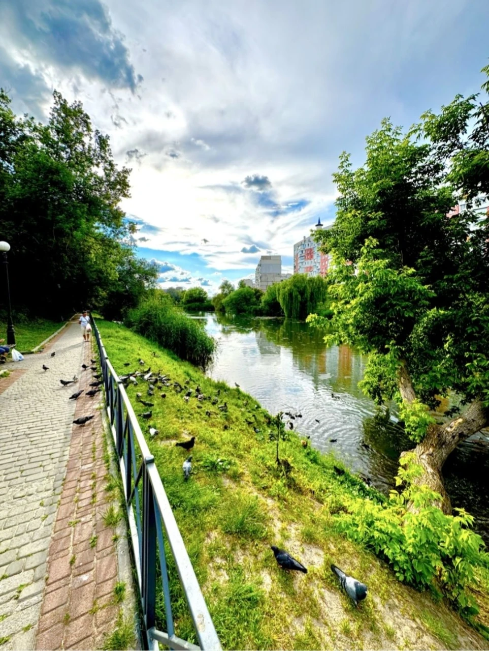 3кімнатна квартира, метро Салтівське