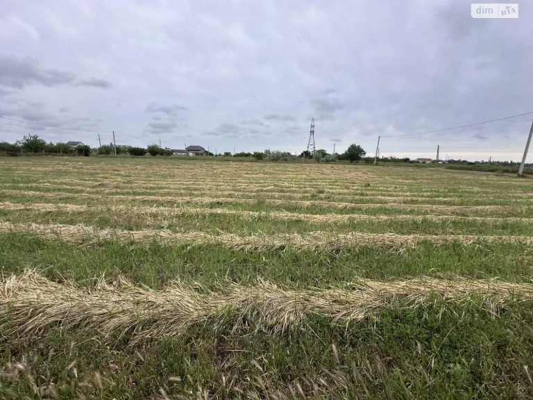Agricultural land for sale Tairov