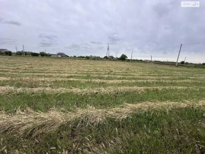 Продаж Земля сільськогосподарського призначення Таїрова