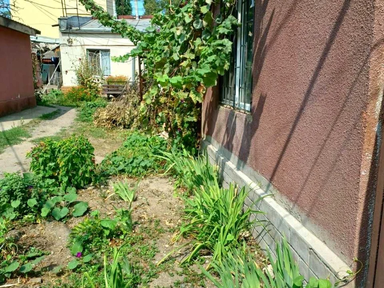 Квартира. Одеса, Балківська вул.