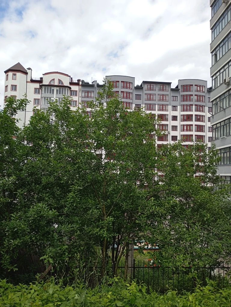 Студія з панорамним видом, від власника 1 км 49 кв
