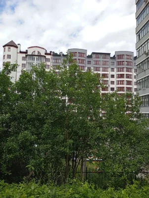 Студія з панорамним видом, від власника 1 км 49 кв