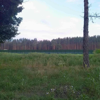 Земельна ділянка с.Святе 59 сот. Поруч є комунікації