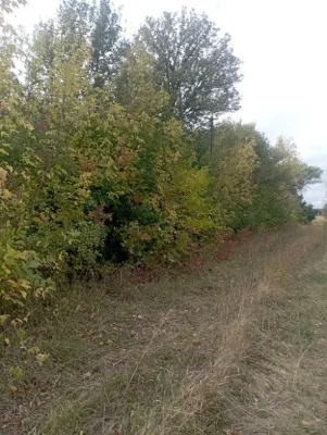 Будинок з земельною ділянкою