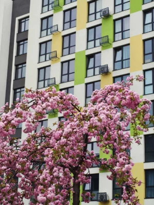 3 кімнати та кухня-студія, 108,7 м² — ЖК Софіївка