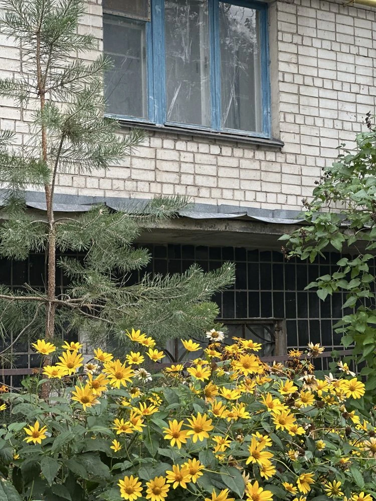 Однокімнатна. Центр.