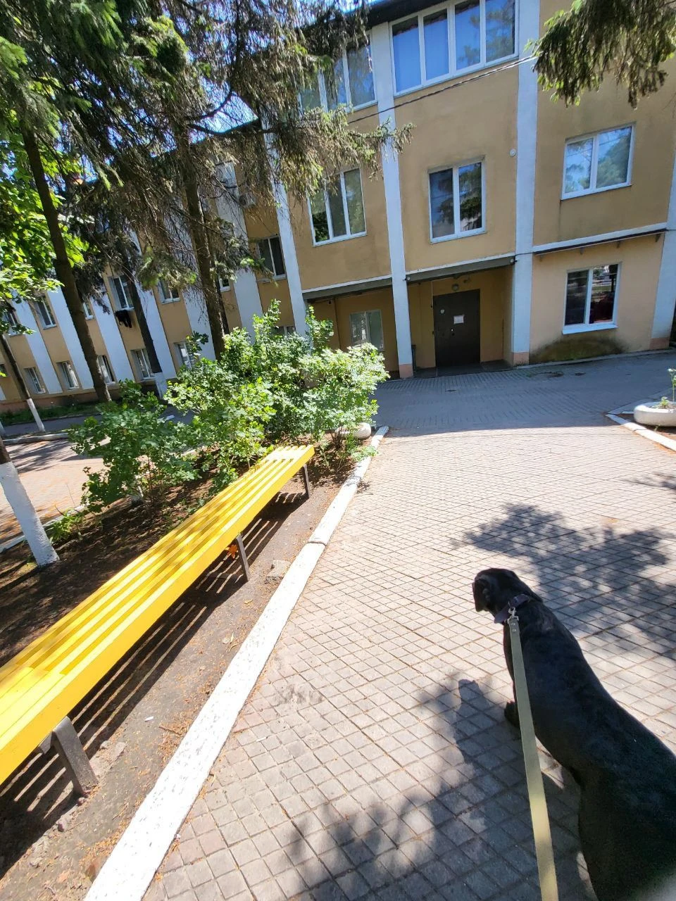 Срочно продам еврогостинку