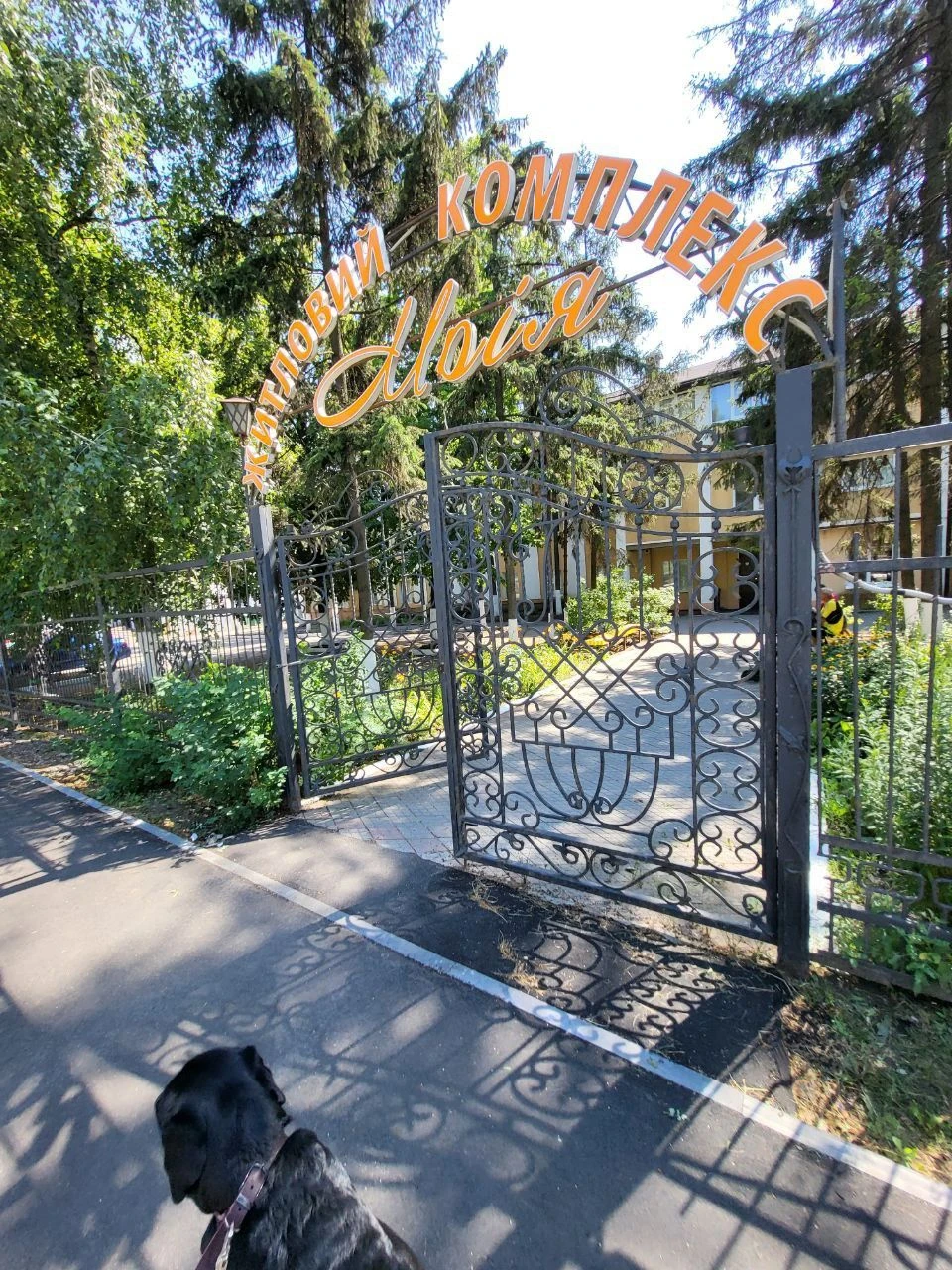 Срочно продам еврогостинку