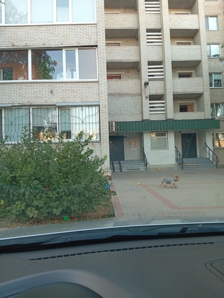 Двухкімнатна квартира
