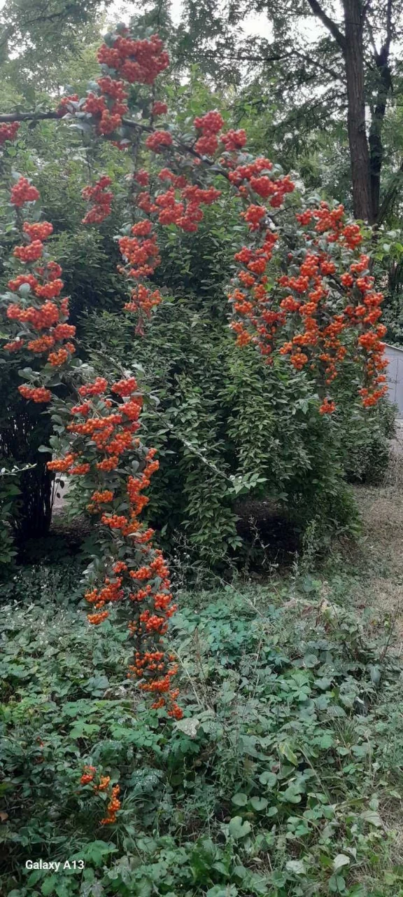 Продам 3 комнатную квартиру пр,Богдана Хмельницкого (Г.Стали