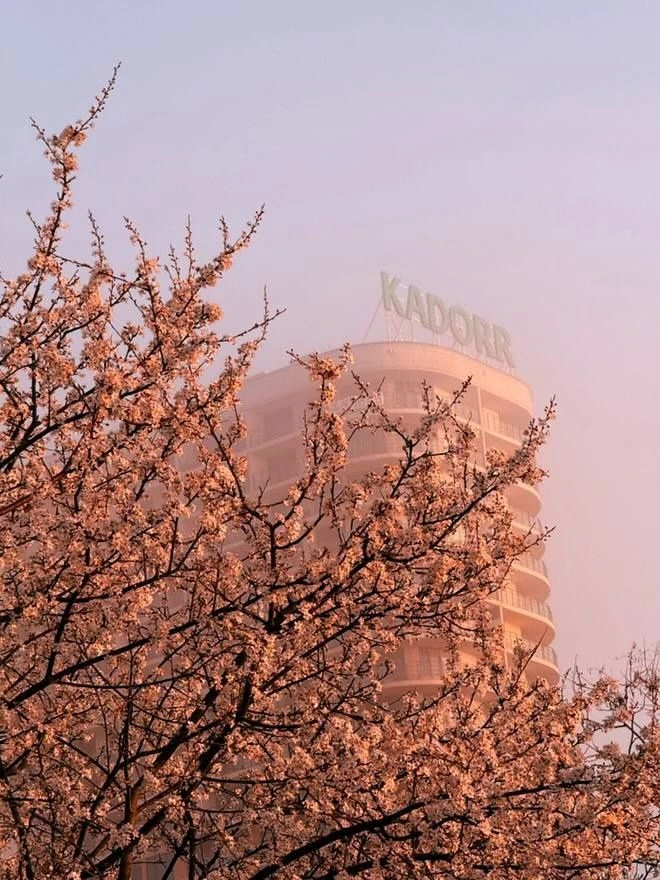 Продам 2-комнатную квартиру  на Каманина  Аркадия