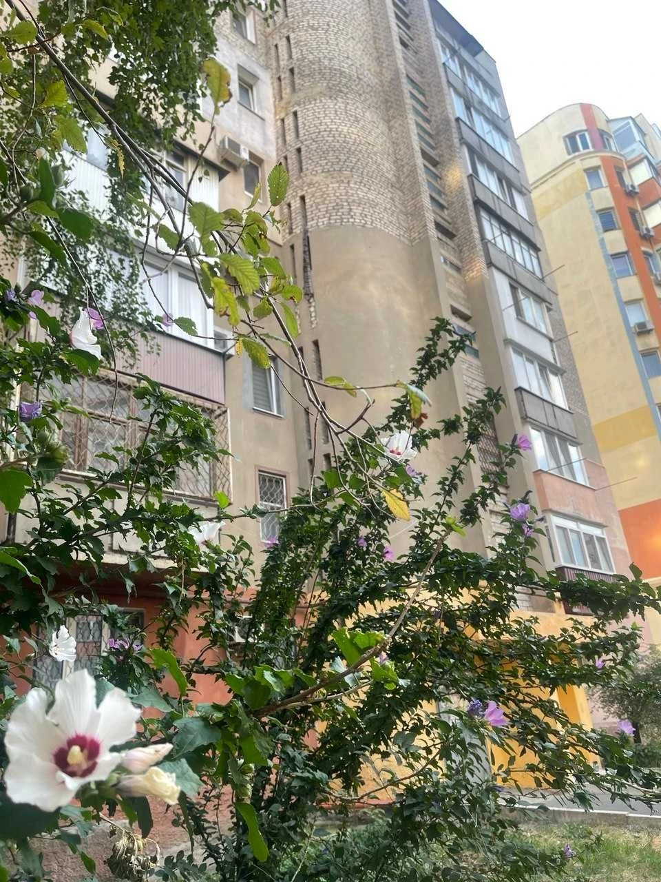 Продам 3 к. квартиру дом кирпичный, ЭЕСЕЛЮЗИВ, Госпрограммы