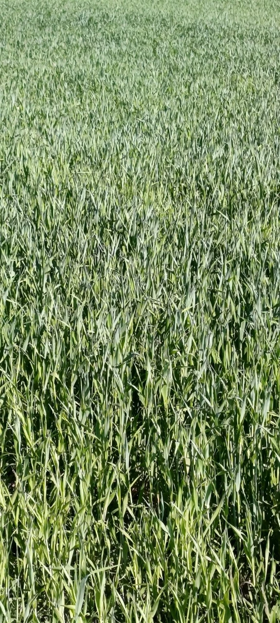 Продам агропідприємство харківська
