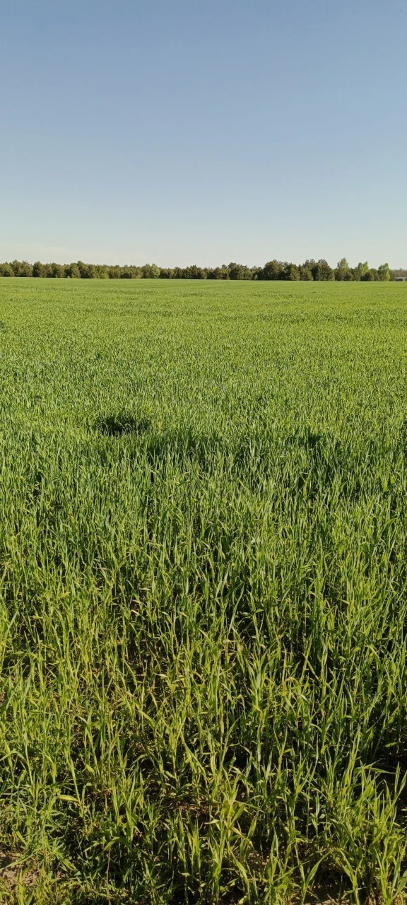 Продам агропідприємство харківська