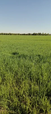 Продам агропідприємство харківська