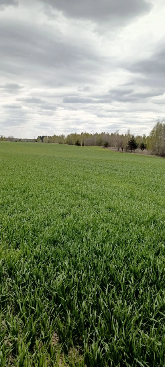 Продам агропідприємство харківська