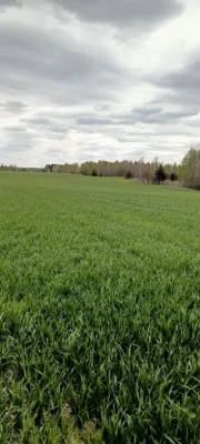 Продам агропідприємство харківська