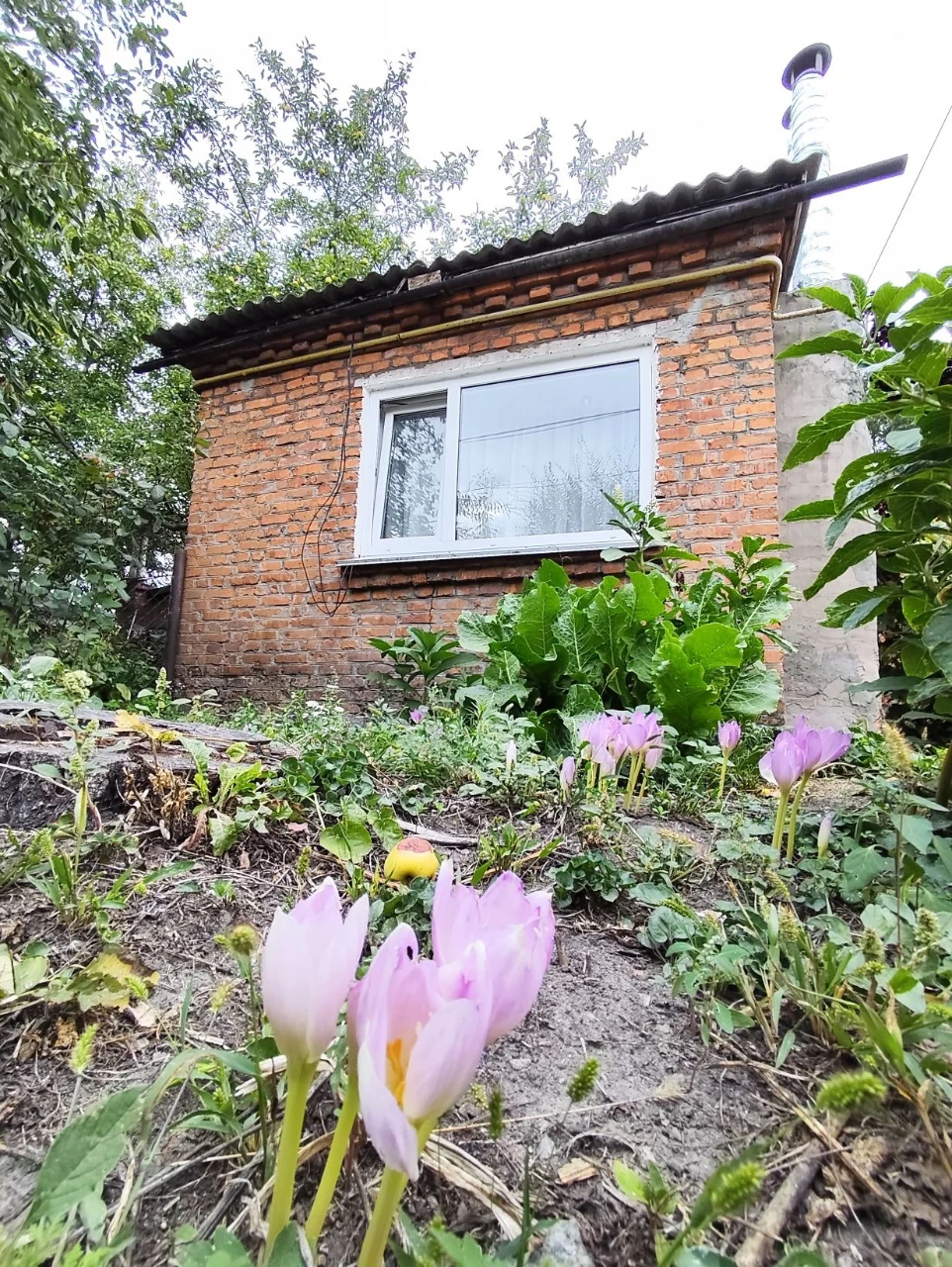 Продається частина будинку з окремим двором у Житомирі