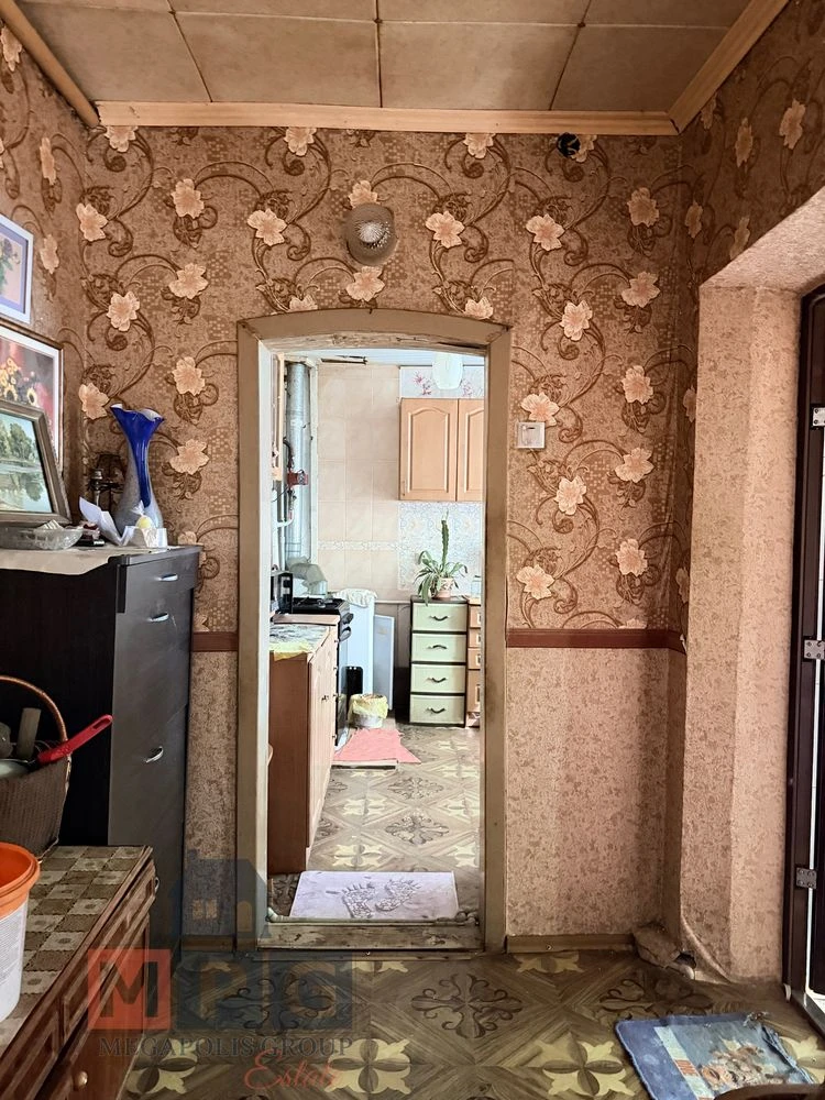 Продаж будинку Велика Данилівка