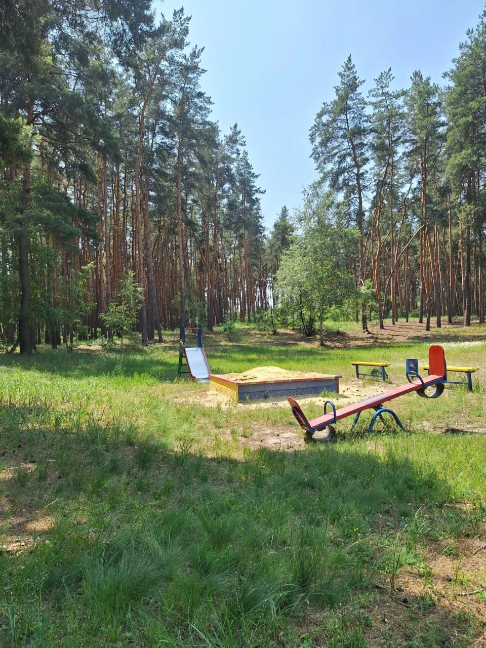 Продам будинок біля бору Жихор